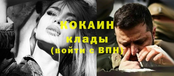 мдпв Касимов