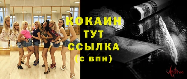 мдпв Касимов